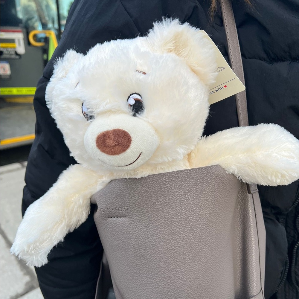 White Teddy Bear